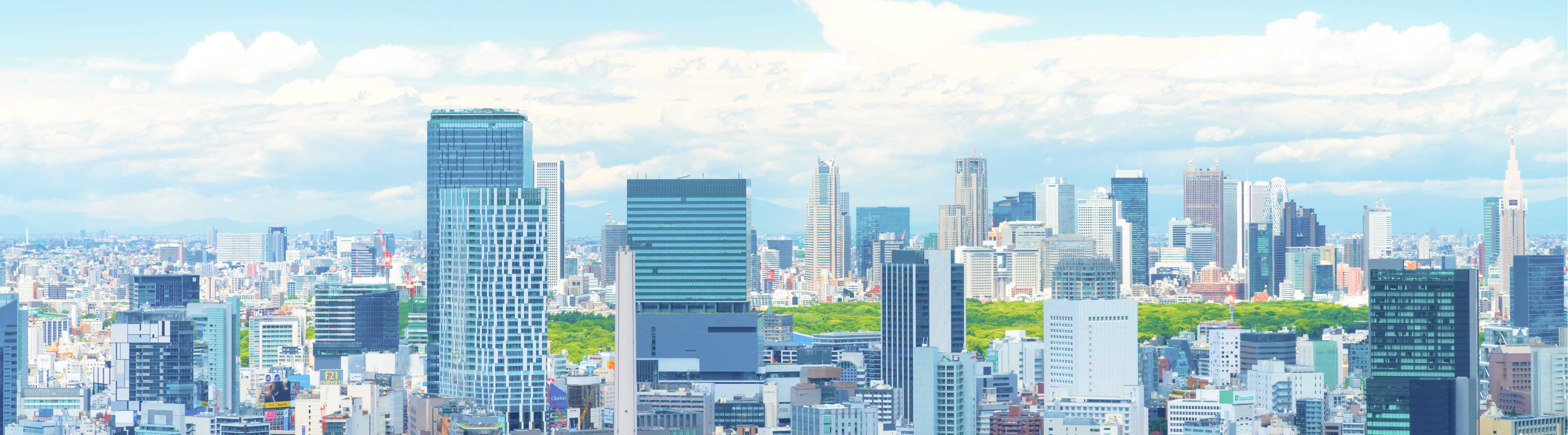 Tokyo skyline